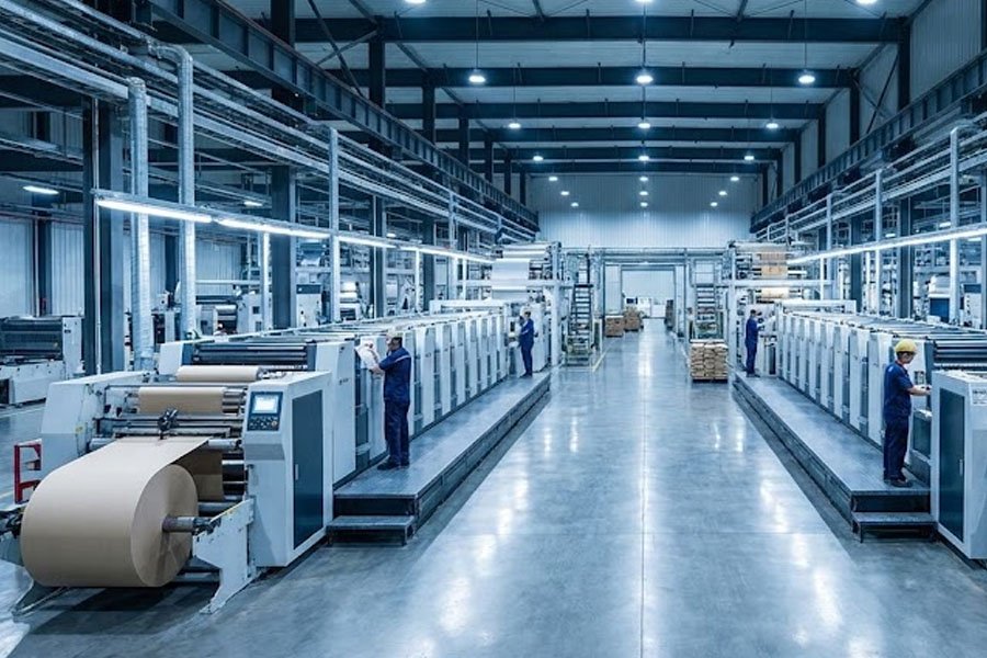 nowoczesna fabryka opakowań papierowych